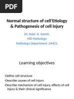 Physiotherapy cell injury