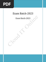 PDF Document