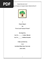PDF Document