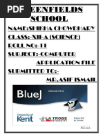 PDF Document