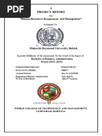 PDF Document