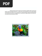 PDF Document