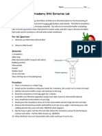 Strawberry DNA Lab