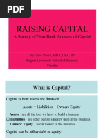 Raising Capital: A Survey of Non-Bank Sources of Capital