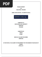 PDF Document