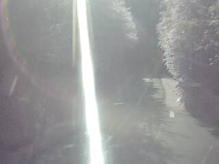 Webcam à proximité du col de Pandours, au niveau de la Maison Forestière du Nideck, sur la D218