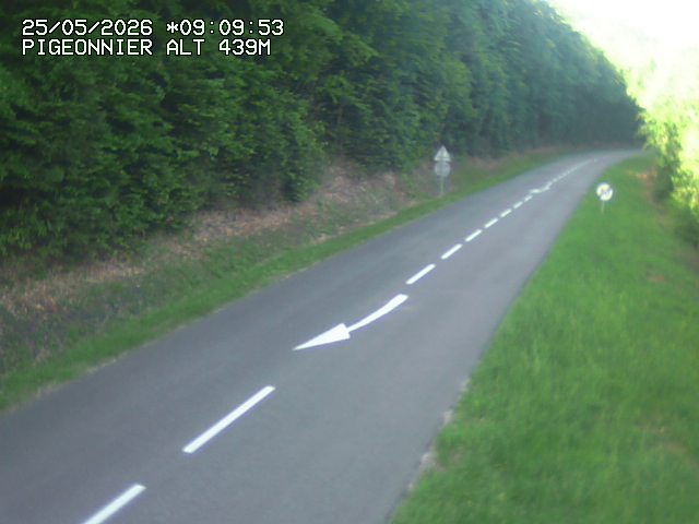 Webcam routière au niveau du col du Pigeonnier sur la D3 en direction de Wissembourg