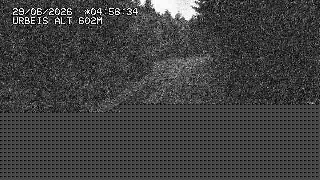 Webcam du col d'Urbeis à proximité de Lubine dans les Vosges à la jonction entre la D39, la D23 et la D214