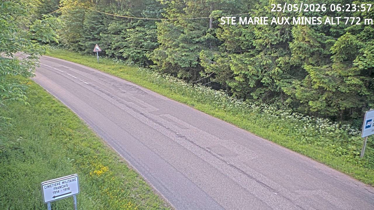 Webcam du col de Saint-Marie dans les Vosges à Saint-Marie-aux-Mines. Vue orientée vers l'Alsace