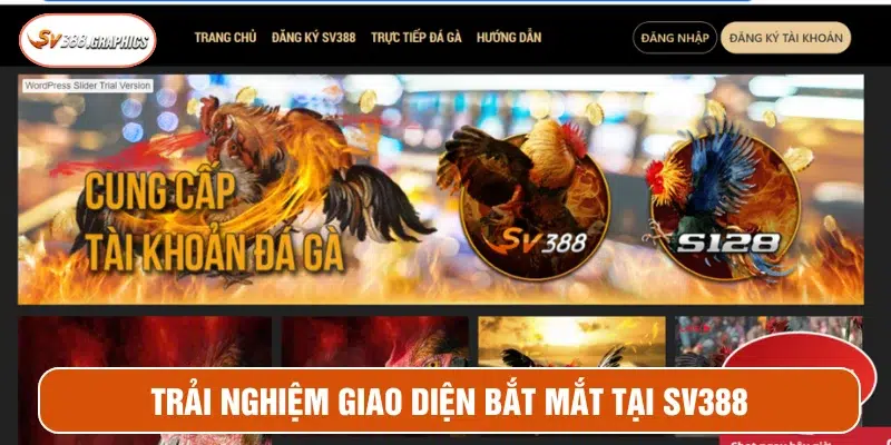 SV388 ⭐️ Đấu Trường Gà Trực Tiếp Uy Tín #1 Châu Á Giao diện trò chơi tại sàn giải trí bắt mắt, dễ tiếp cận