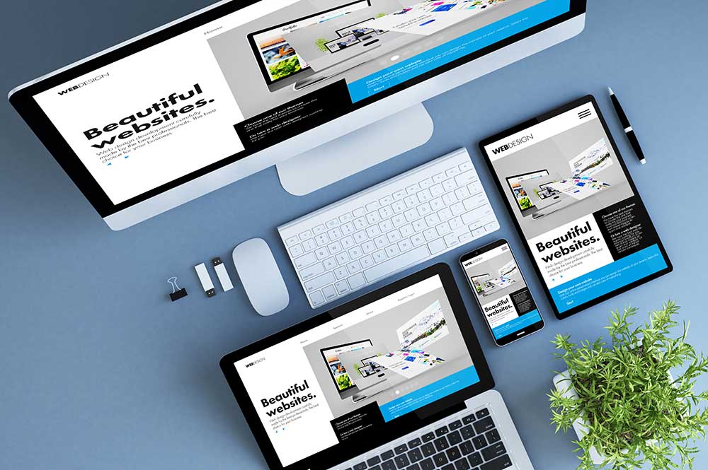 Website-Development Image description