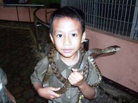 ibrahim dan ular