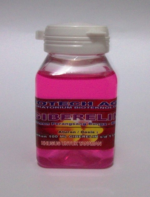 giberelin