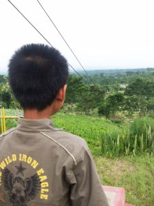 flyingfox02