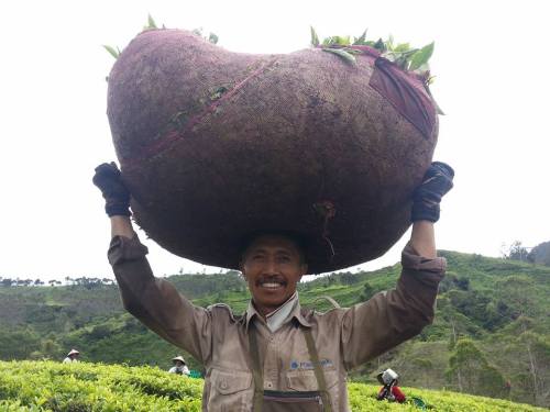 Fotografi portrait http://isroi.com