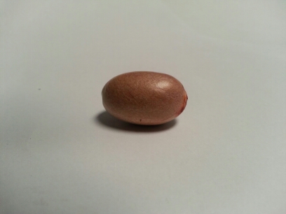 20141005_144332.jpg image