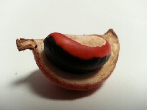 20141005_144549.jpg image