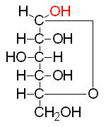 nomenclatura_3
