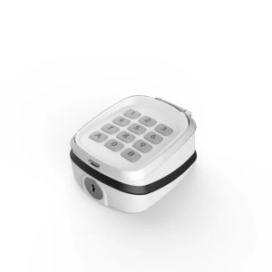 Automatic Gate Wireless Keypad for Sliding And Swing Door