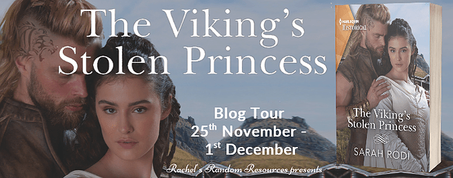 The Viking's Stolen Princess Banner