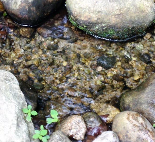 rocks in stream