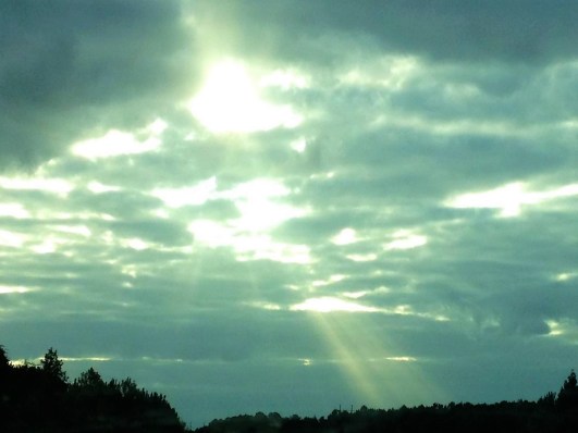 morning drive rays of light (2)