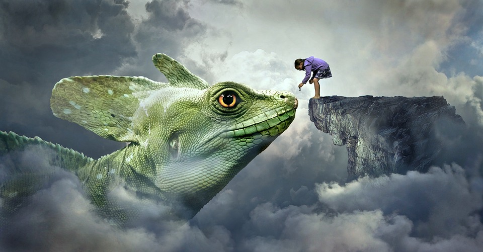dragon feeding