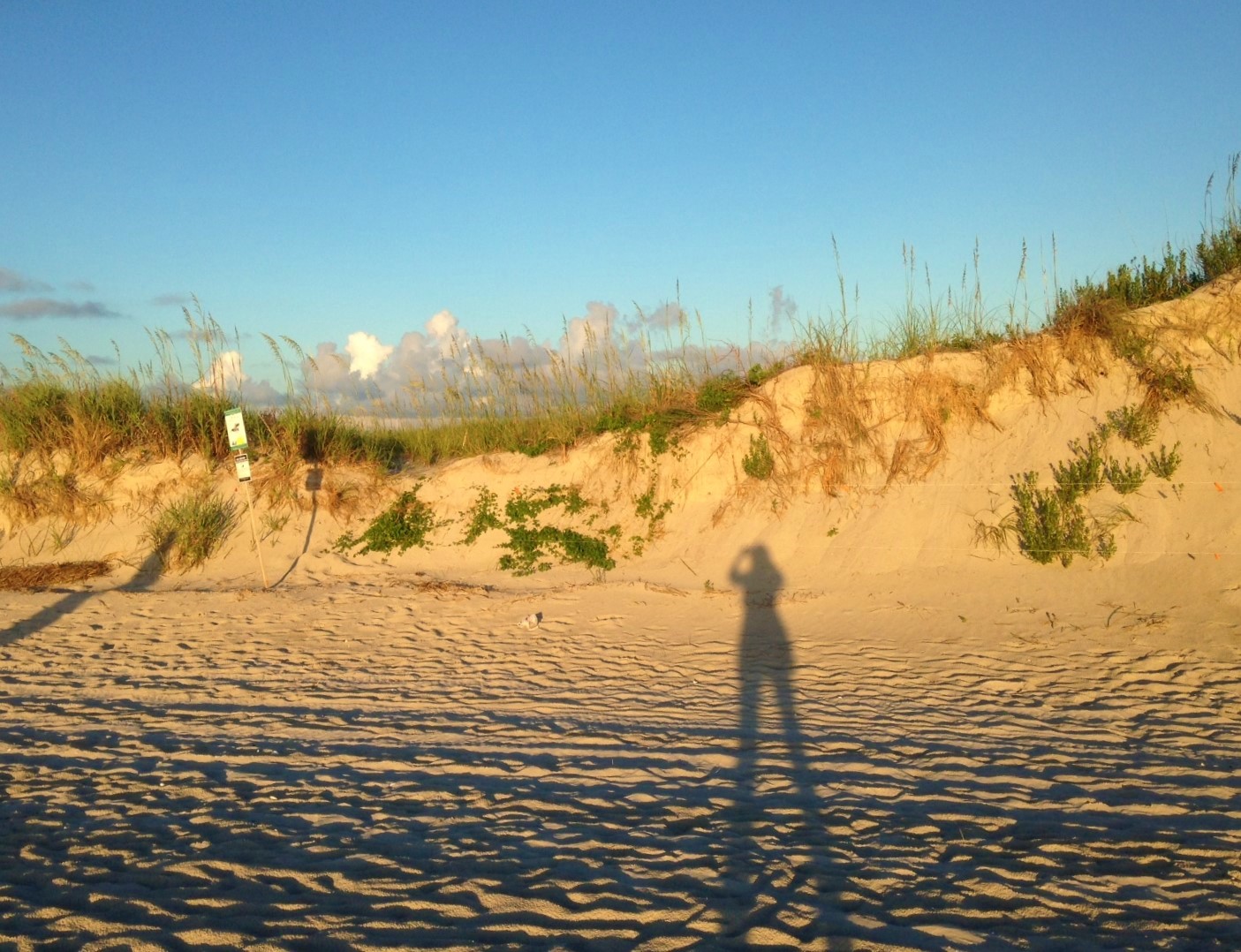 dune shadows