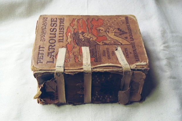 500 Faces: French Dictionary - Junquemail Contessa