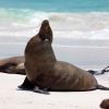 Darwins paradijs, Galápagos en de mens
