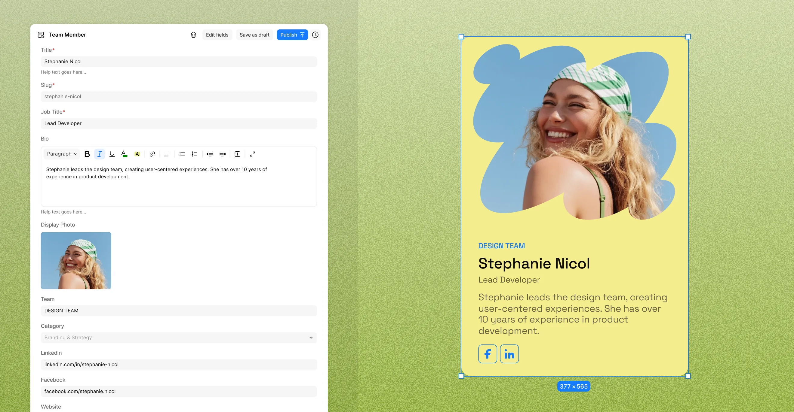 Team member CMS content type item & preview