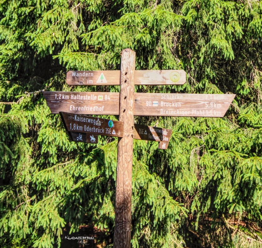 IMG_8716_hdr_mode_1