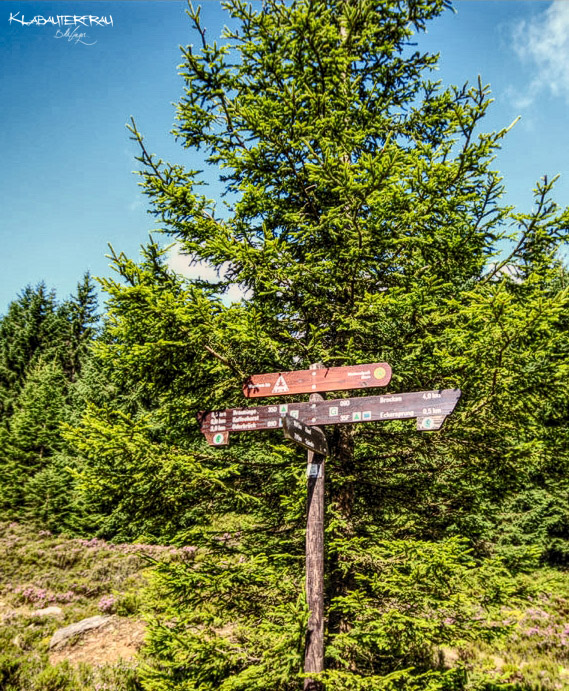 IMG_8727_hdr_mode_1