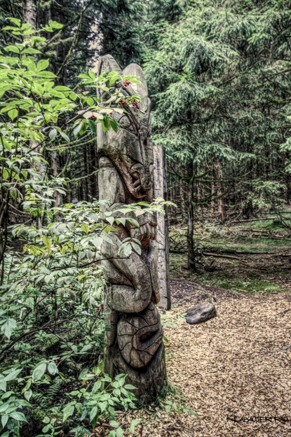 IMG_8958_hdr_mode_1