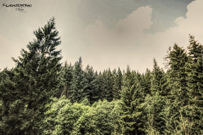 IMG_9007_hdr_mode_1
