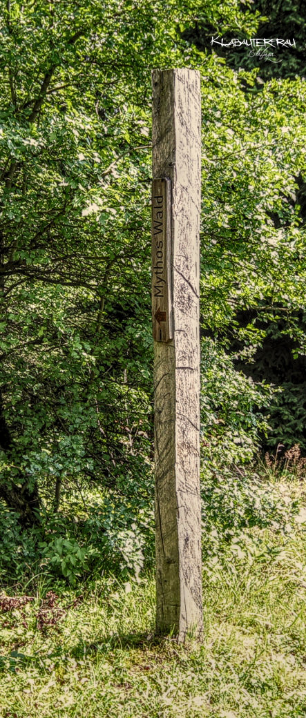 IMG_9051_hdr_mode_1