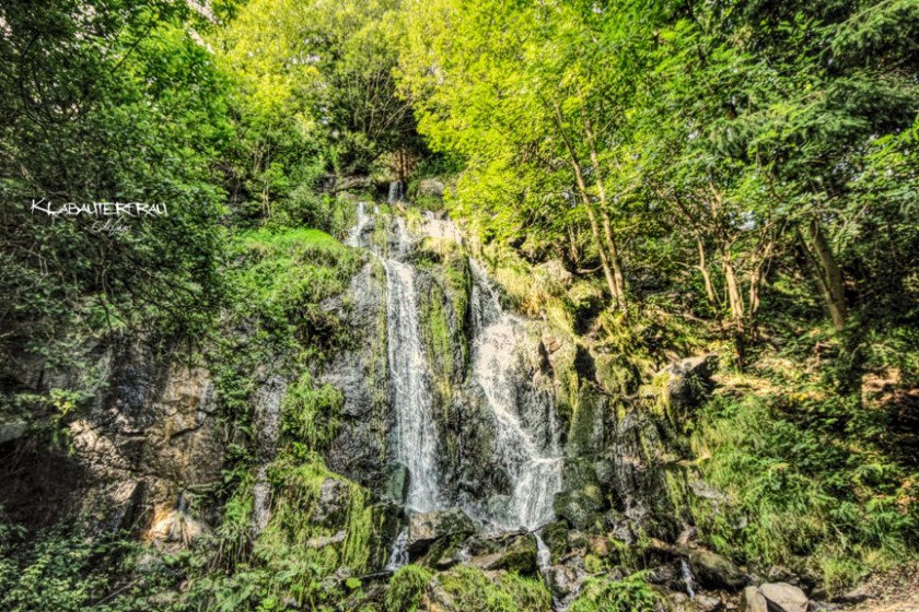 IMG_9911_hdr_mode_1