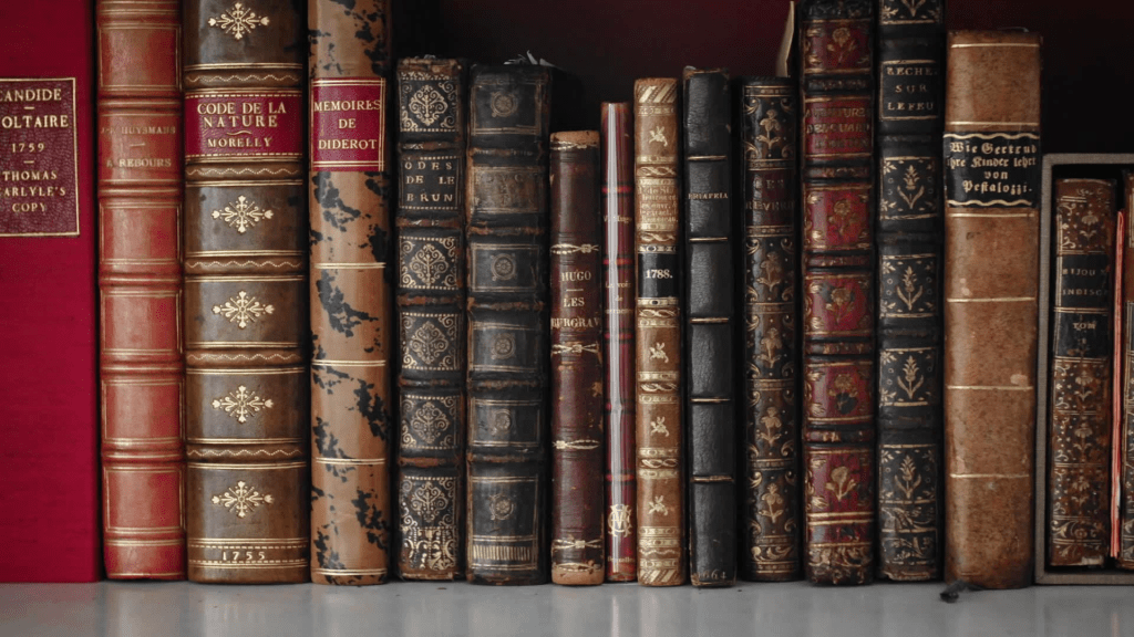 Five Wonderful Books Denver Read in 2023