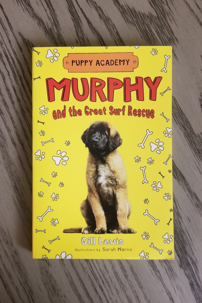 Photo of the front cover of the book Murphy and the Great Surf Rescue. Click on the image to go to the Amazon location for the book.