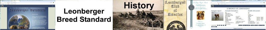 Banner photo showing photos of factual information, signs and screenshots of the world wide leonberger data base