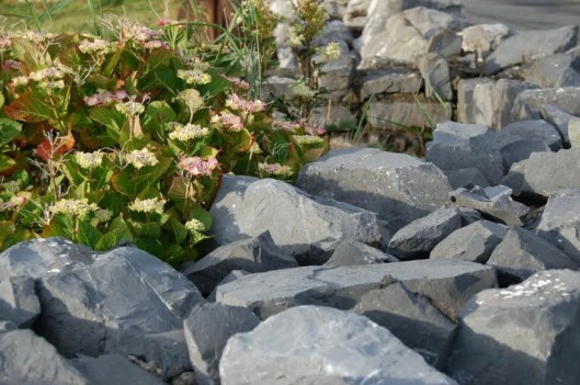 "Be soft. Do not let the world make you hard." (Kurt Vonnegut) Photo from Doolin, County Clare, Ireland