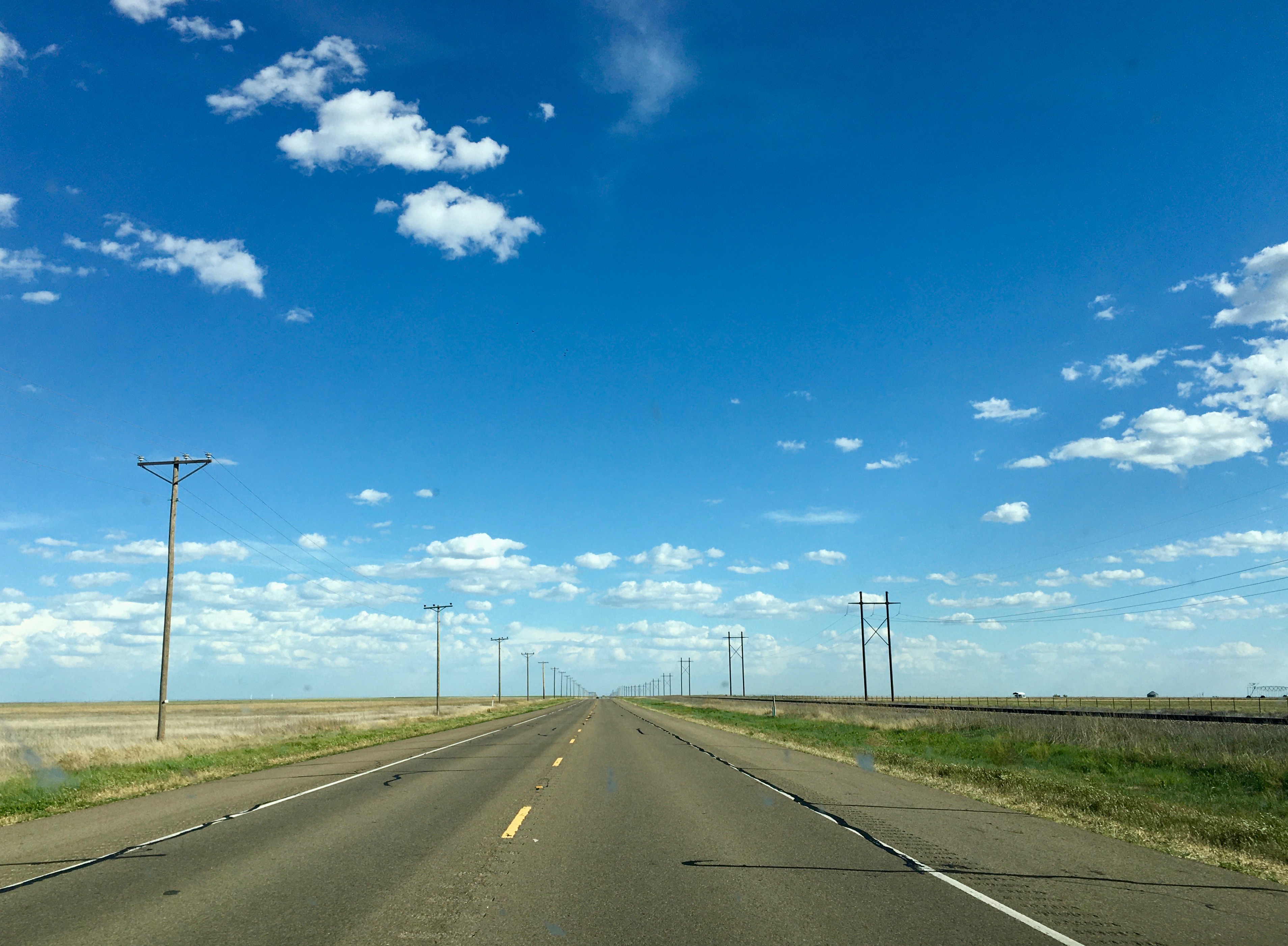 IMG_0803