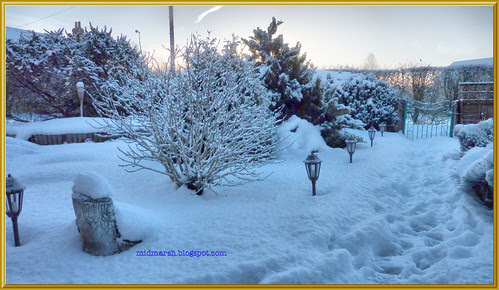 Snowy Garden 2