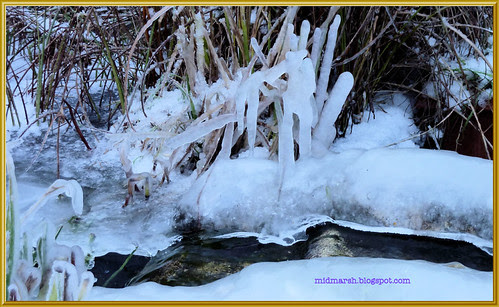 Icy Pond Waterfall 2