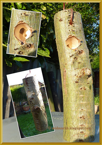 Peanut Butter Feeder-1.jpg