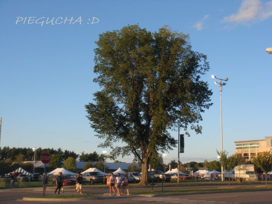 DSC04762 DSC04762