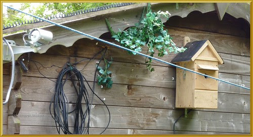 Camera Nest Box