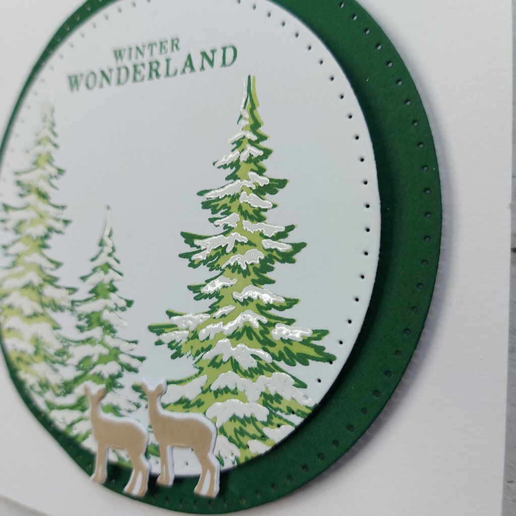 Hero Arts Color Layering Snowy Tree
Concord & 9th mini ink cubes
Wow! white embossing powder
Sue Wilson Stitched circle dies