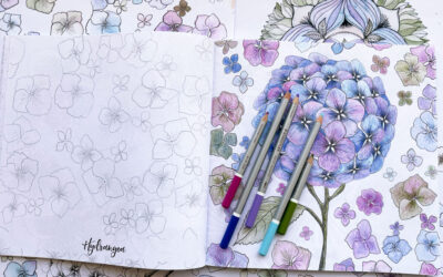 The New Coloring Club is here: Color the Hydrangea with me! Our first video: Color the Hydrangea bunch of blooms