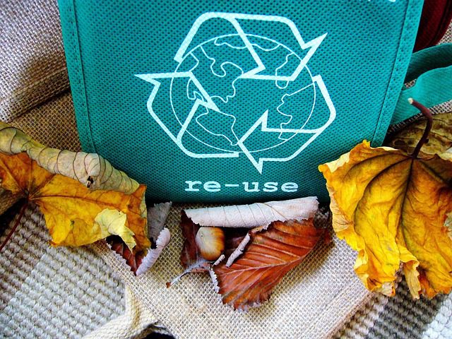 Lovely Life 363 shirley810 recycle 57136 640 Lovely Life